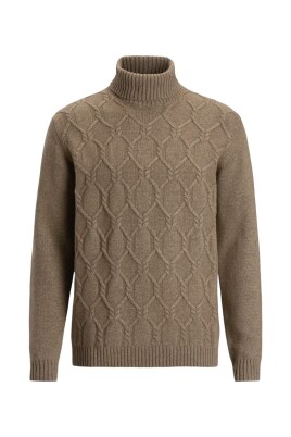 beige-rollneck-sweater-structure