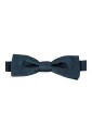 papillon-en-soie-bleue-luxueux