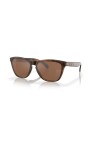lunettes-de-soleil-retro-frogskins