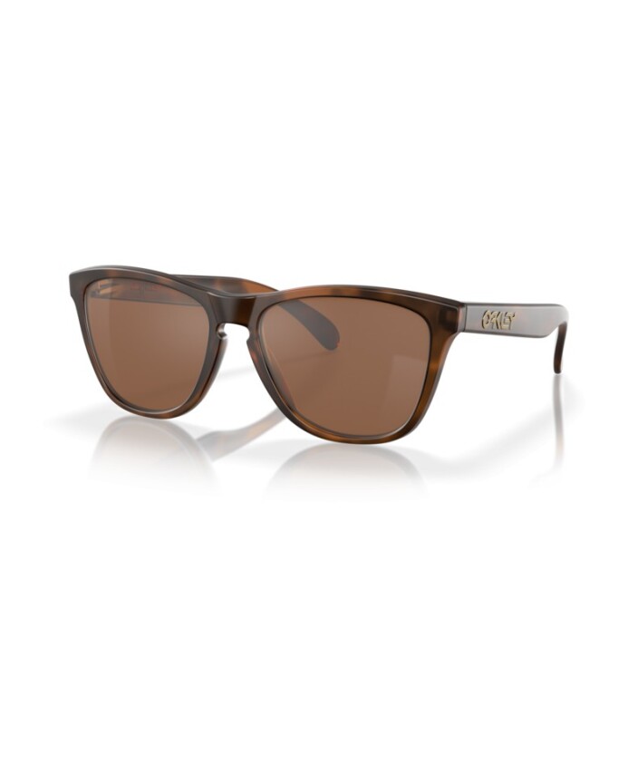 lunettes-de-soleil-retro-frogskins