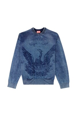 phoenix-graphic-crew-neck-sweater