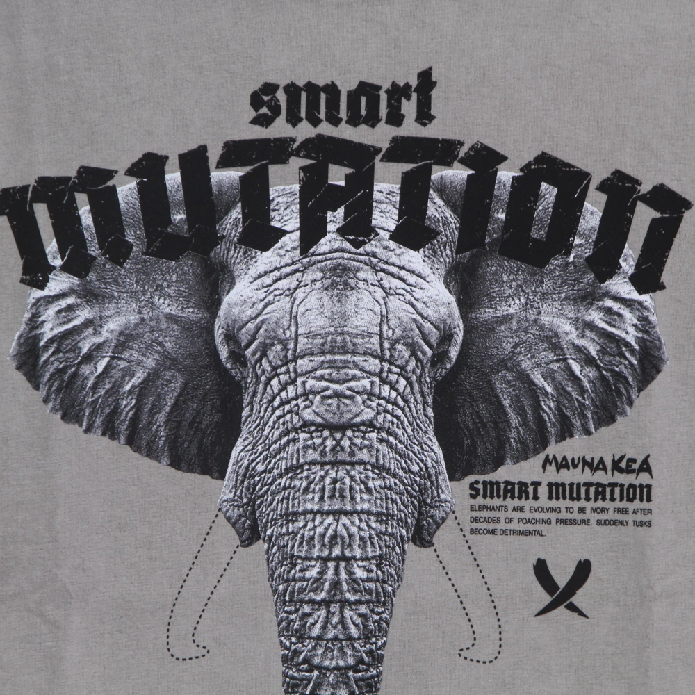Mauna Kea Olifant Tee Stone Washed T-Shirt Gray Heren