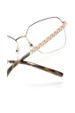 dg1351-02-optical-frame