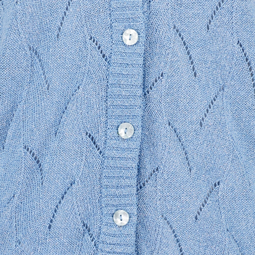 Jane Lushka Elegant Light Blue Cardigan Blue Dames