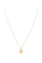 collier-aspen