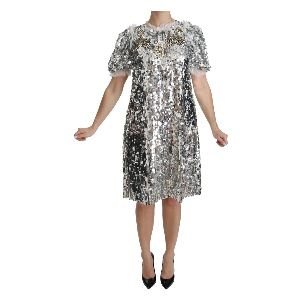 Dolce & Gabbana Vrouw Grijs Kleedjes Dames, S, Pailletten, Zilveren Pailletten Kristal Shift Jurk