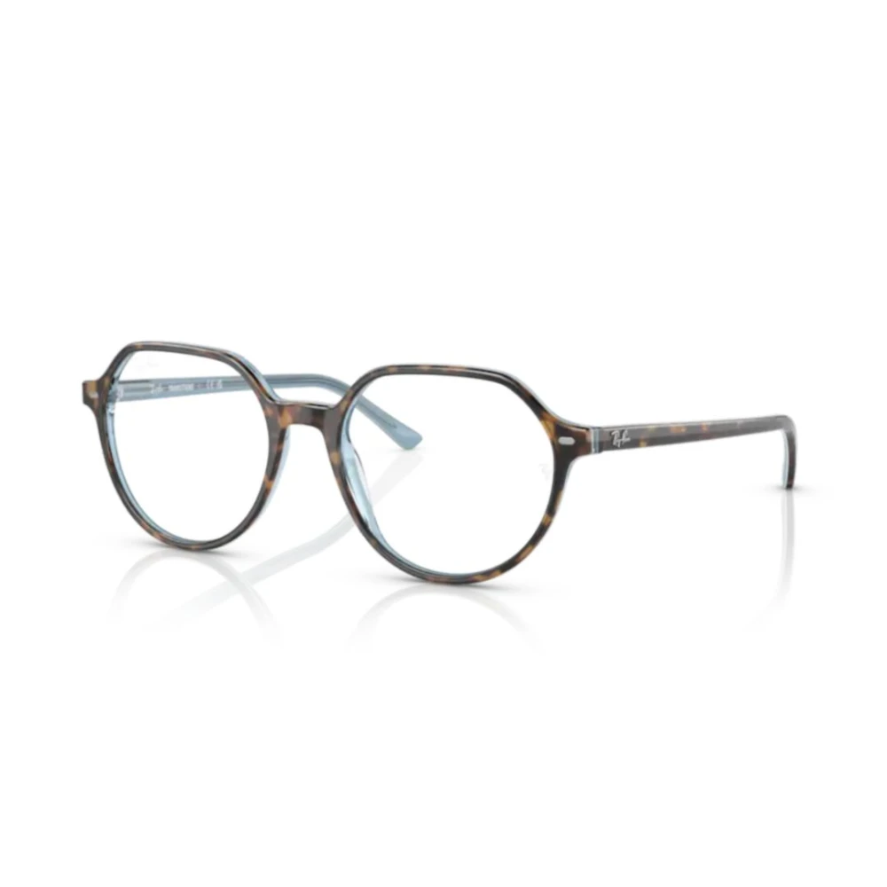 Ray-Ban Unisex Brown Glasses, 51 Mm, Sole Sunglasses