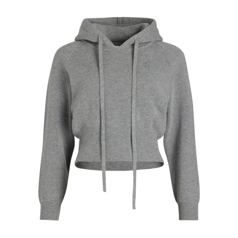 Patou Grijze Merinowol Hoodie Trui Gray Dames
