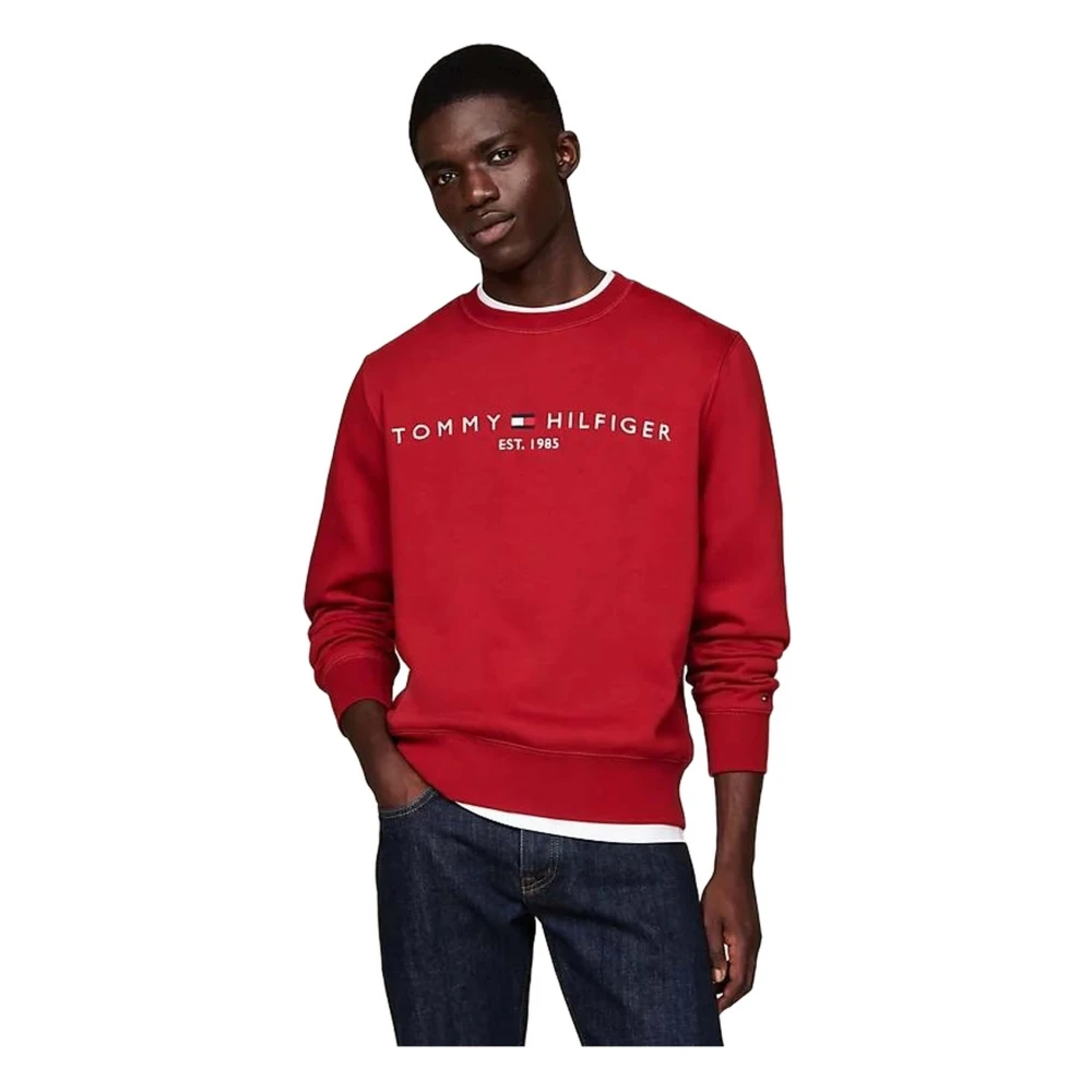 Tommy Hilfiger Hoodie Red Heren