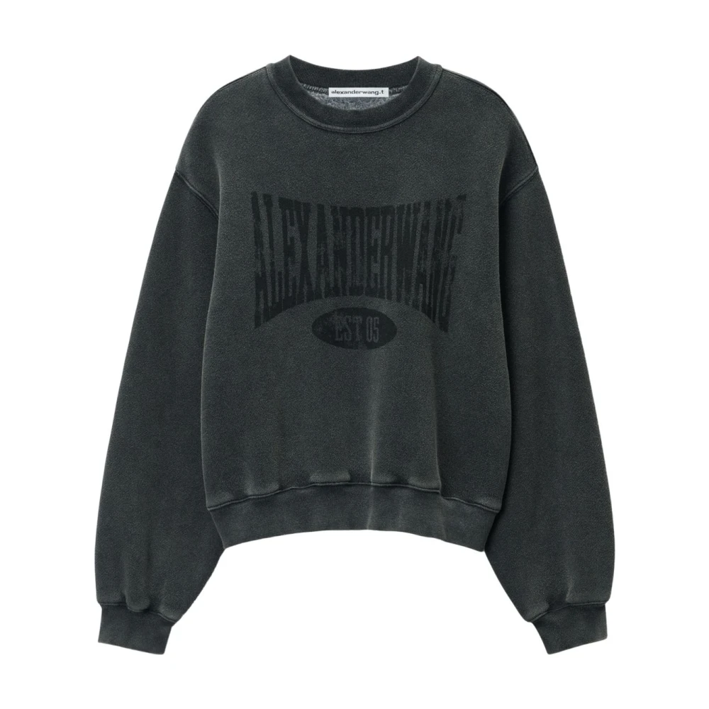 Sweatshirts & Hoodies > Sweatshirts - - Alexander Wang - Modalova