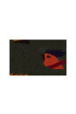 chaussettes-longues-en-coton-vert-pour-hommes-avec-motif-de-poule-multicolore