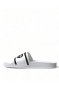 elegant-white-logo-slides