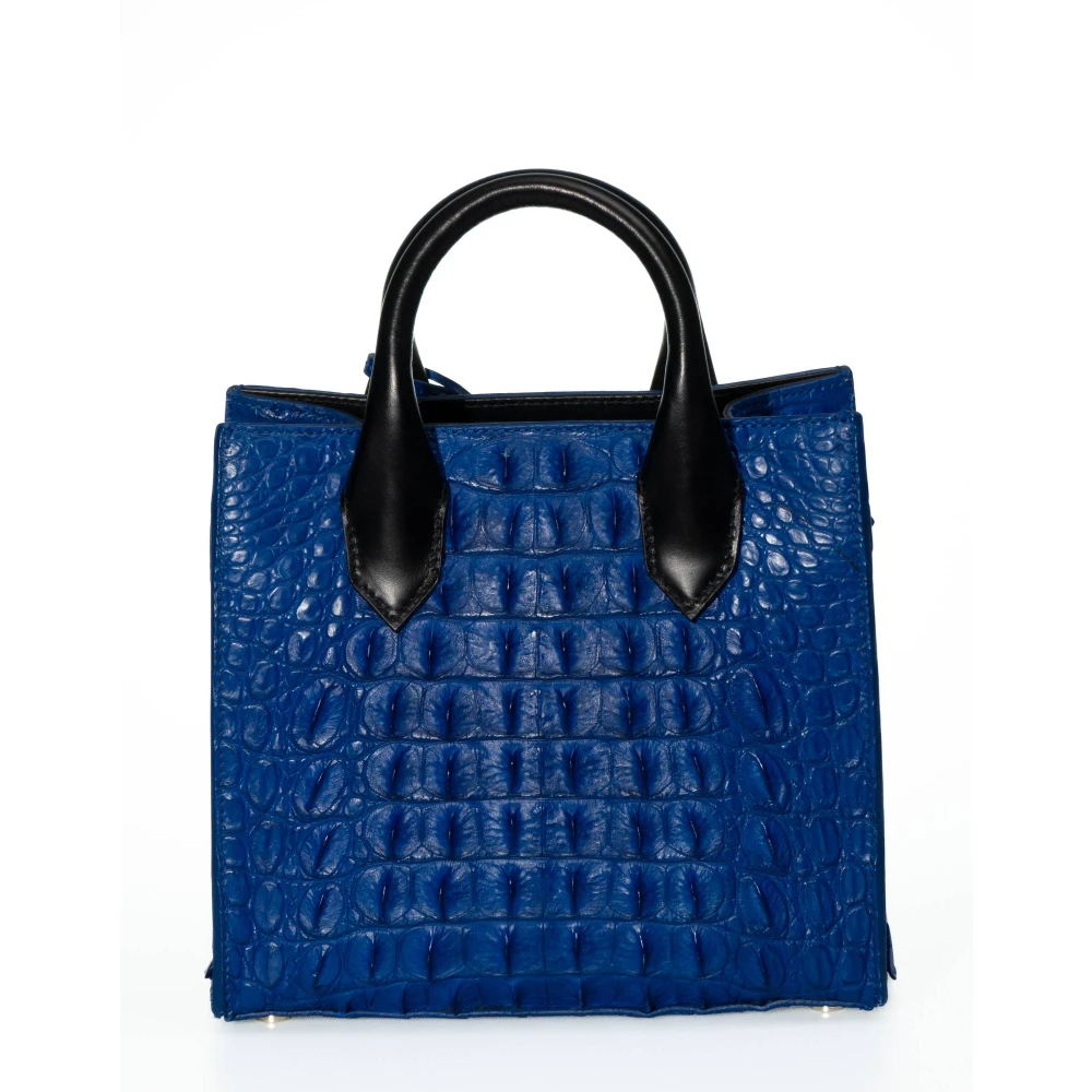Balenciaga Stijlvolle Lady Tas voor Moderne Vrouwen Blue Dames