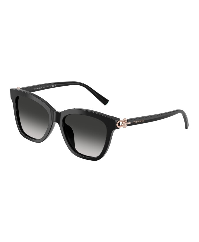 lunettes-de-soleil-tf4241d-style-80013c