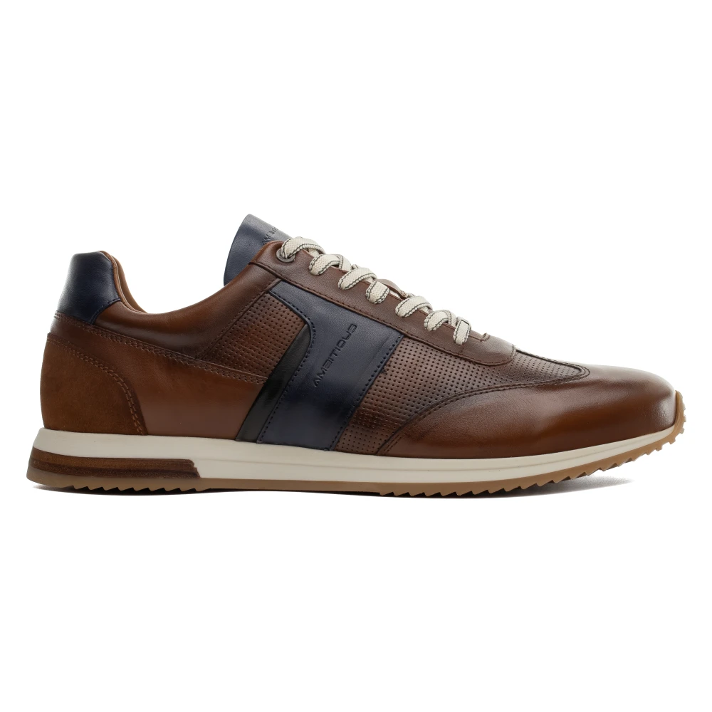 Ambitious Slow Panel Sneaker Heren Schoenen Bruin