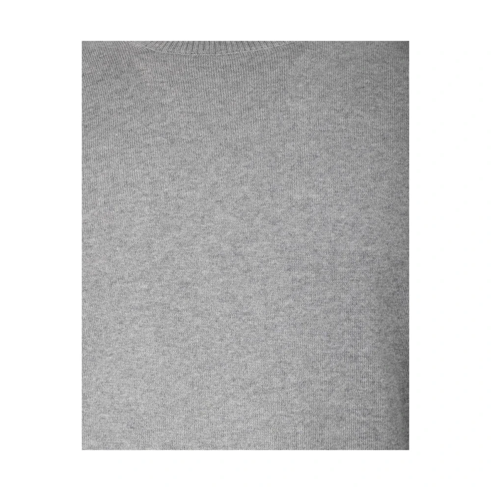 Fay Trui met ronde hals Gray Heren