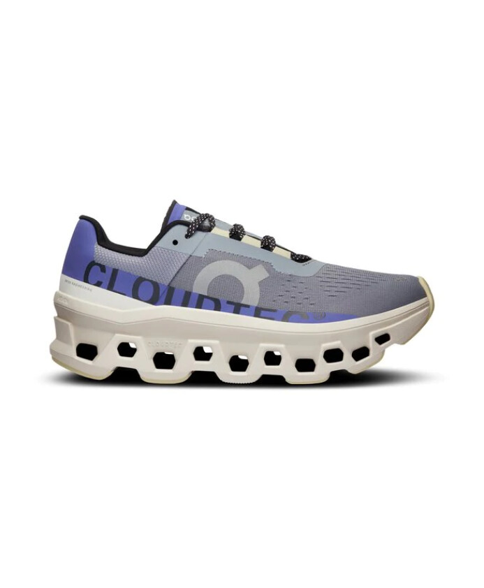 chaussures-de-running-cloudmonster