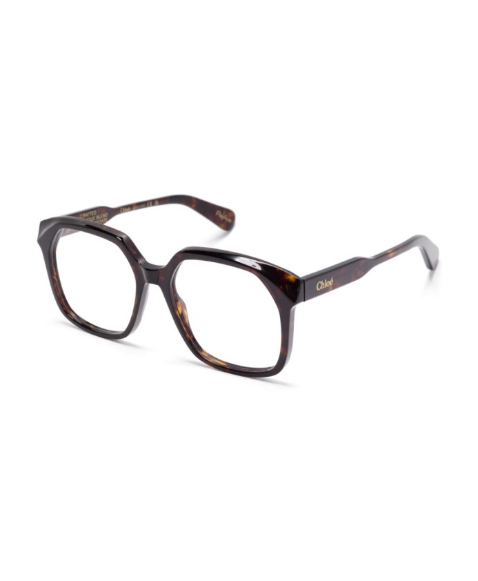 ch0263o-002-optical-frame