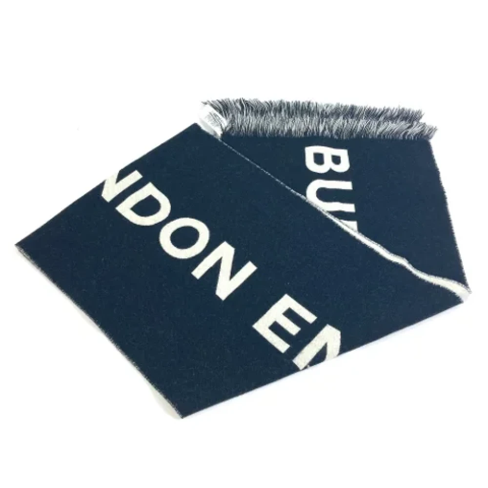 Burberry Vintage Pre-owned Wool scarves Blue Heren