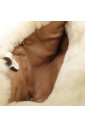 pre-owned-cuir-cabas