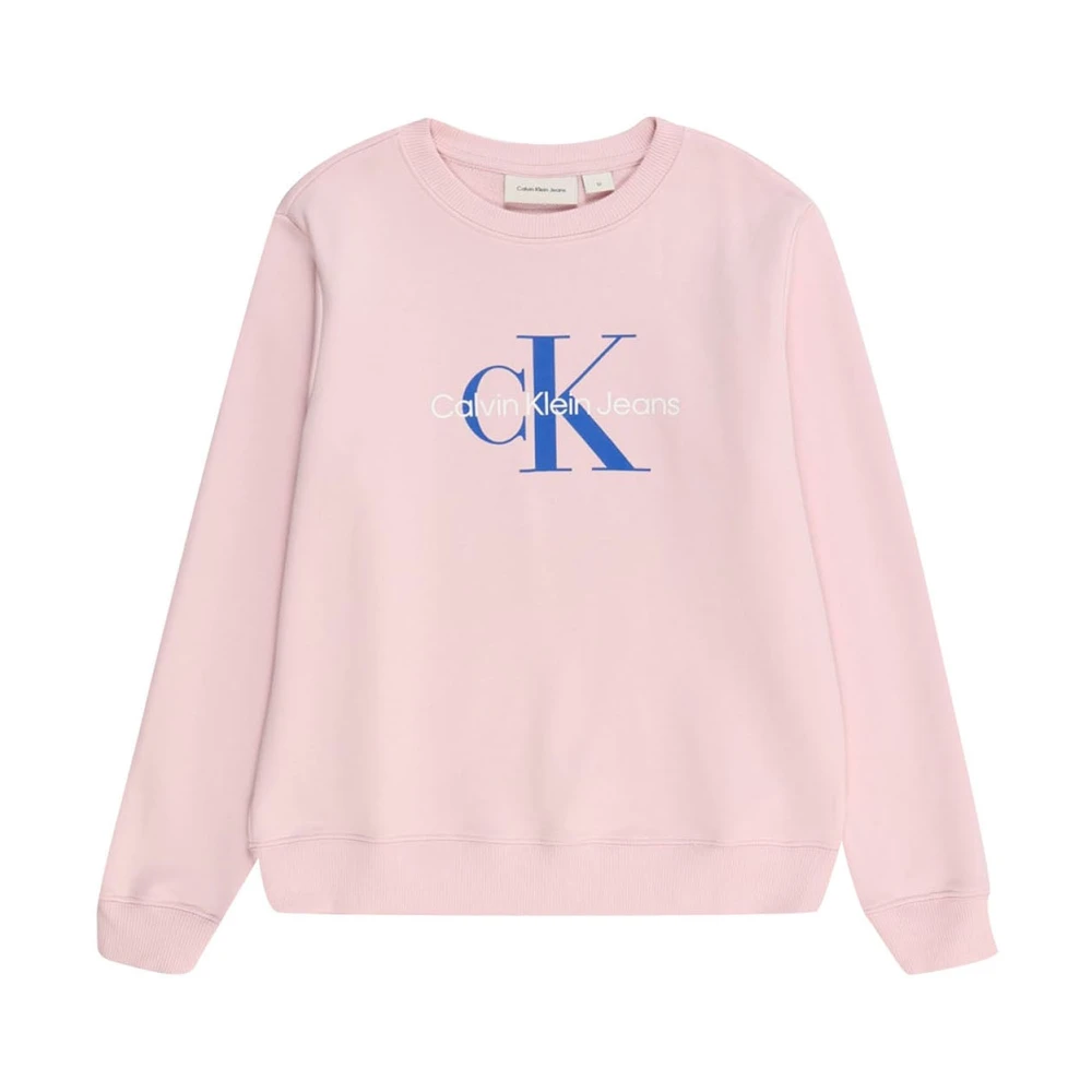 Calvin Klein Jeans Unisex Kids Pink Kids Sweatshirts, 14 Y, Sweatshirt
