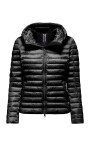 bright-nylon-hooded-jacket-with-synthetic-padding