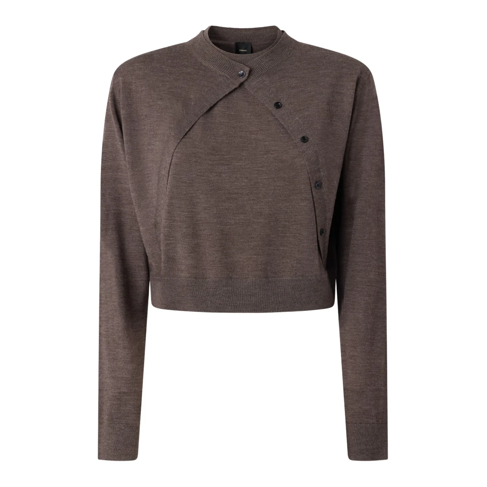 Pinko Kvinno Brun Stickade Tröjor Dam, L, Cardigans