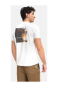 italian-art-t-shirt-print