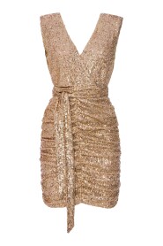 Sparkle Sequin Mini Dress