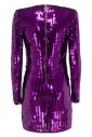le-petit-ermitage-mini-dress