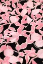 robe-portefeuille-fleurie