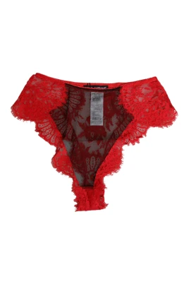 Sheer Lace Underwear