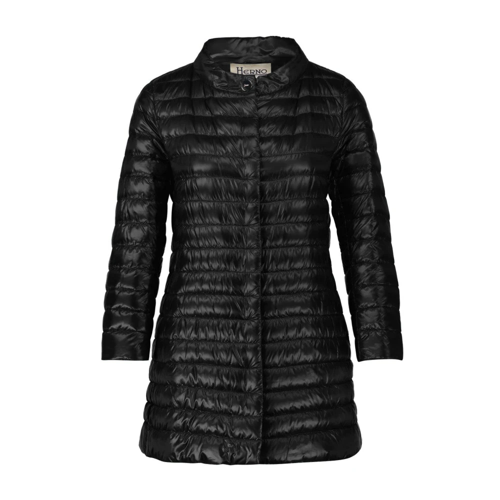 Jackets > Winter Jackets - - Herno - Modalova