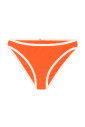 ealeneiw-brazilian-brief