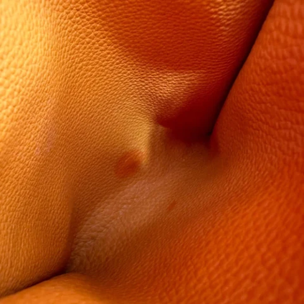 Hermès Vintage Pre-owned Leather shoulder-bags Orange Dames