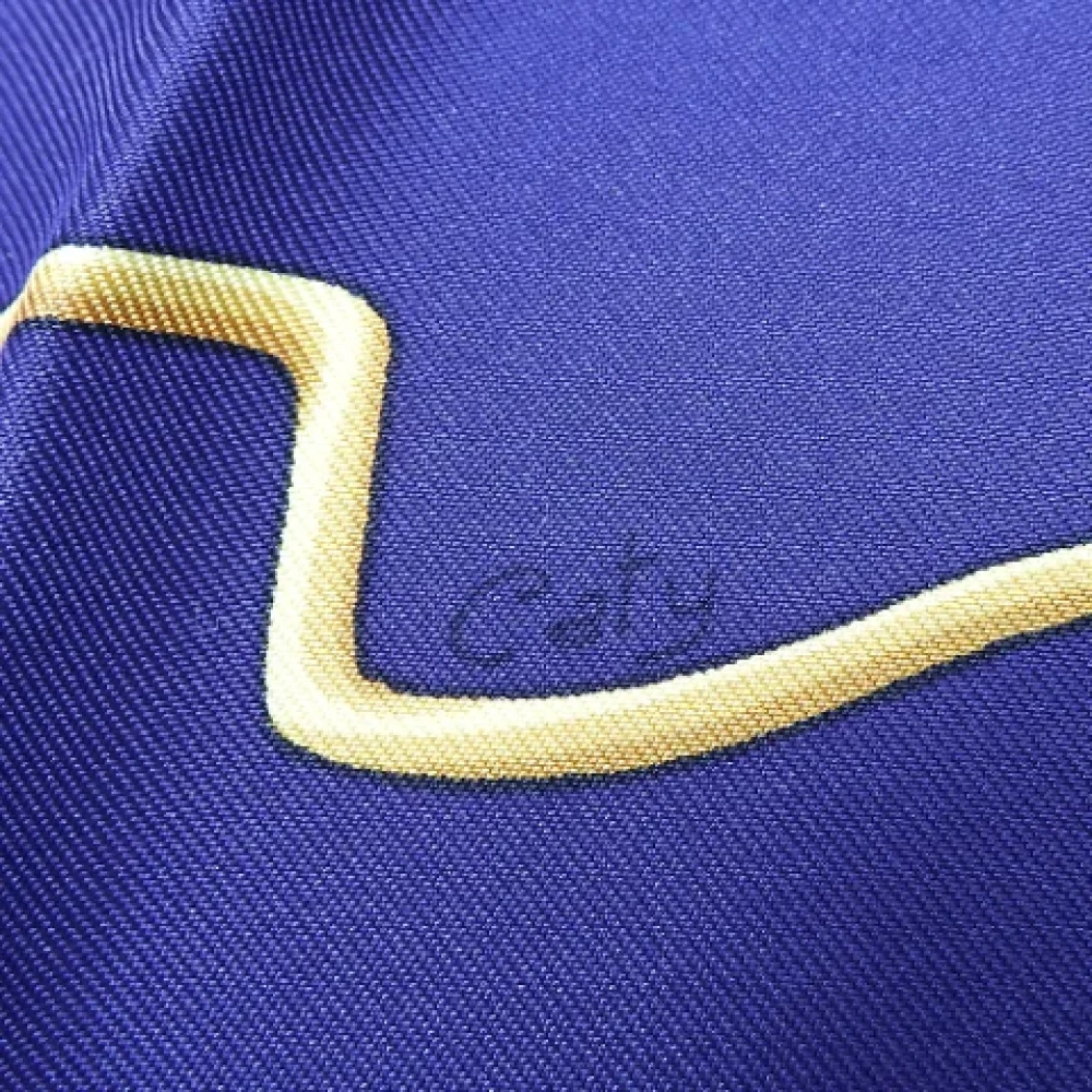 Hermès Vintage Pre-owned Wool scarves Purple Dames