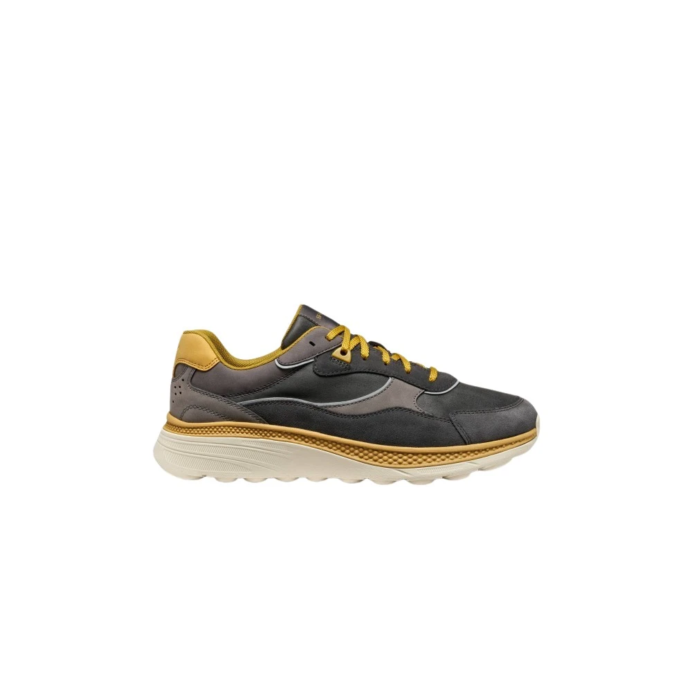 Geox , Sneakers, Male, Gray, 5 Uk, Spherica