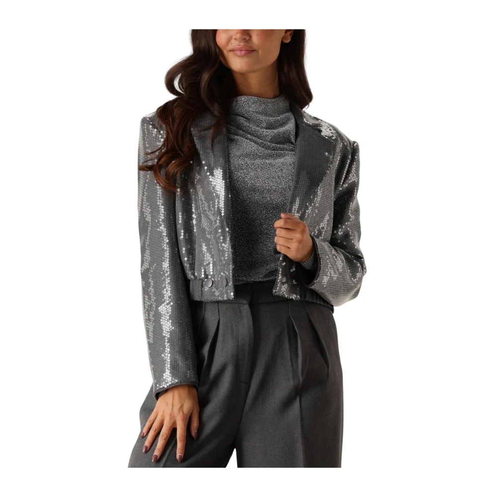 Aaiko Pailletten blazer voor glamoureuze avonden Gray Dames
