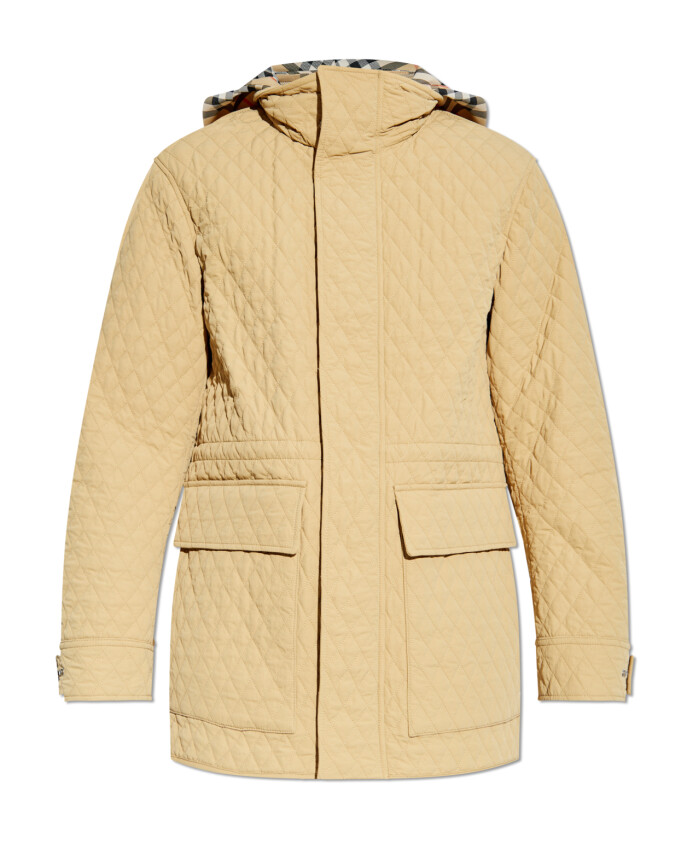 veste-a-capuche