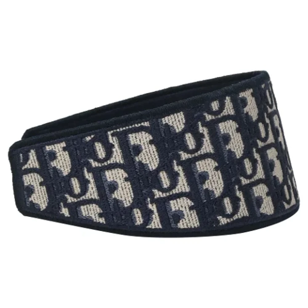Dior Vintage Pre-owned Cotton hair-accessories Blue Dames