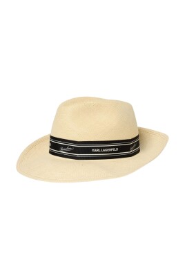 stylish-wide-brim-fedora-hat