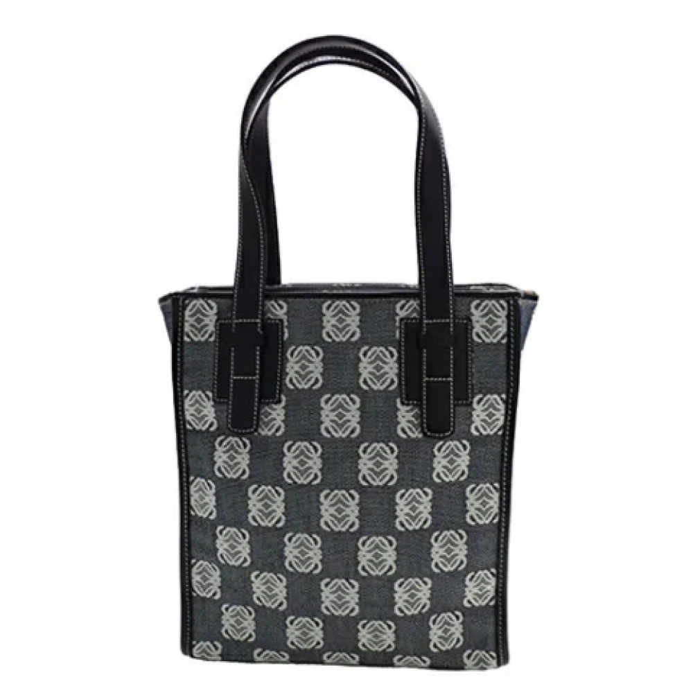 Loewe Pre-owned Canvas handbags Gray Dames