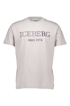 grey-t-shirt
