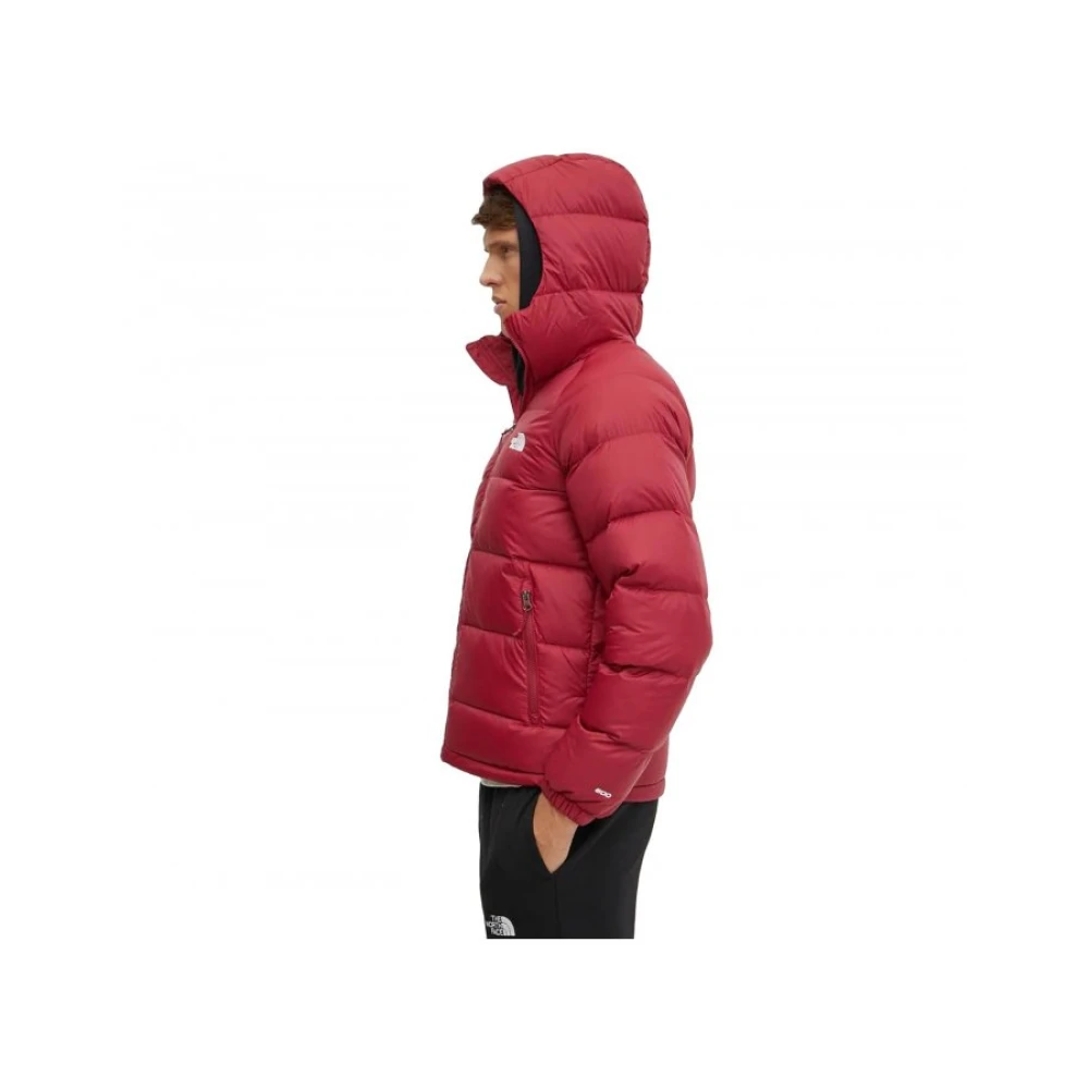 The North Face Hydrenalite Hoodie in Bordeaux Kleur Red Heren