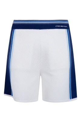 Mesh Stripes Shorts