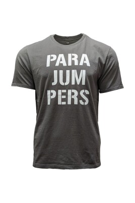 gray-logo-t-shirt-joel