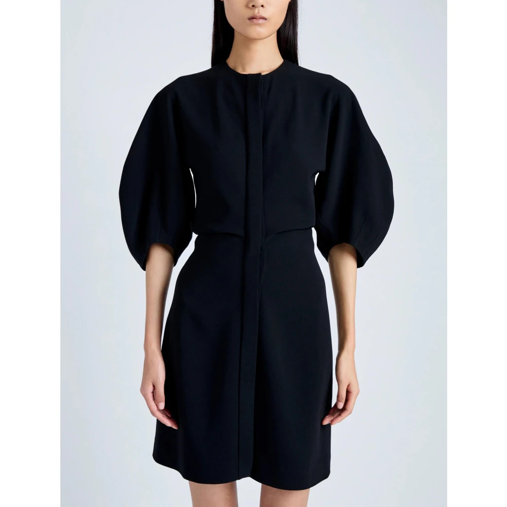 Proenza Schouler Elegante Zwarte Minijurk Black Dames