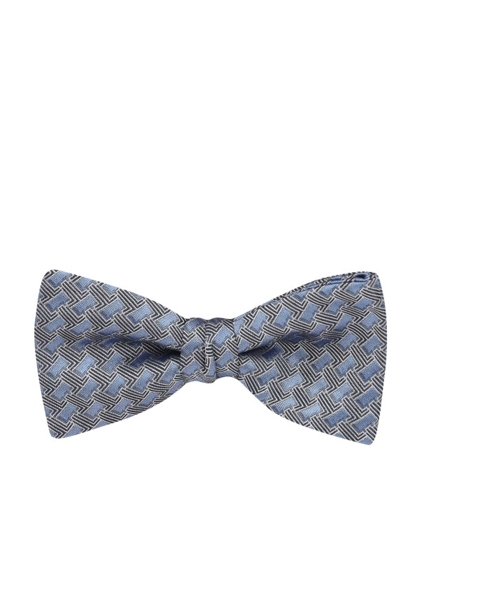 papillon-en-soie