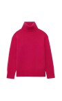 pull-a-col-roule-aiden
