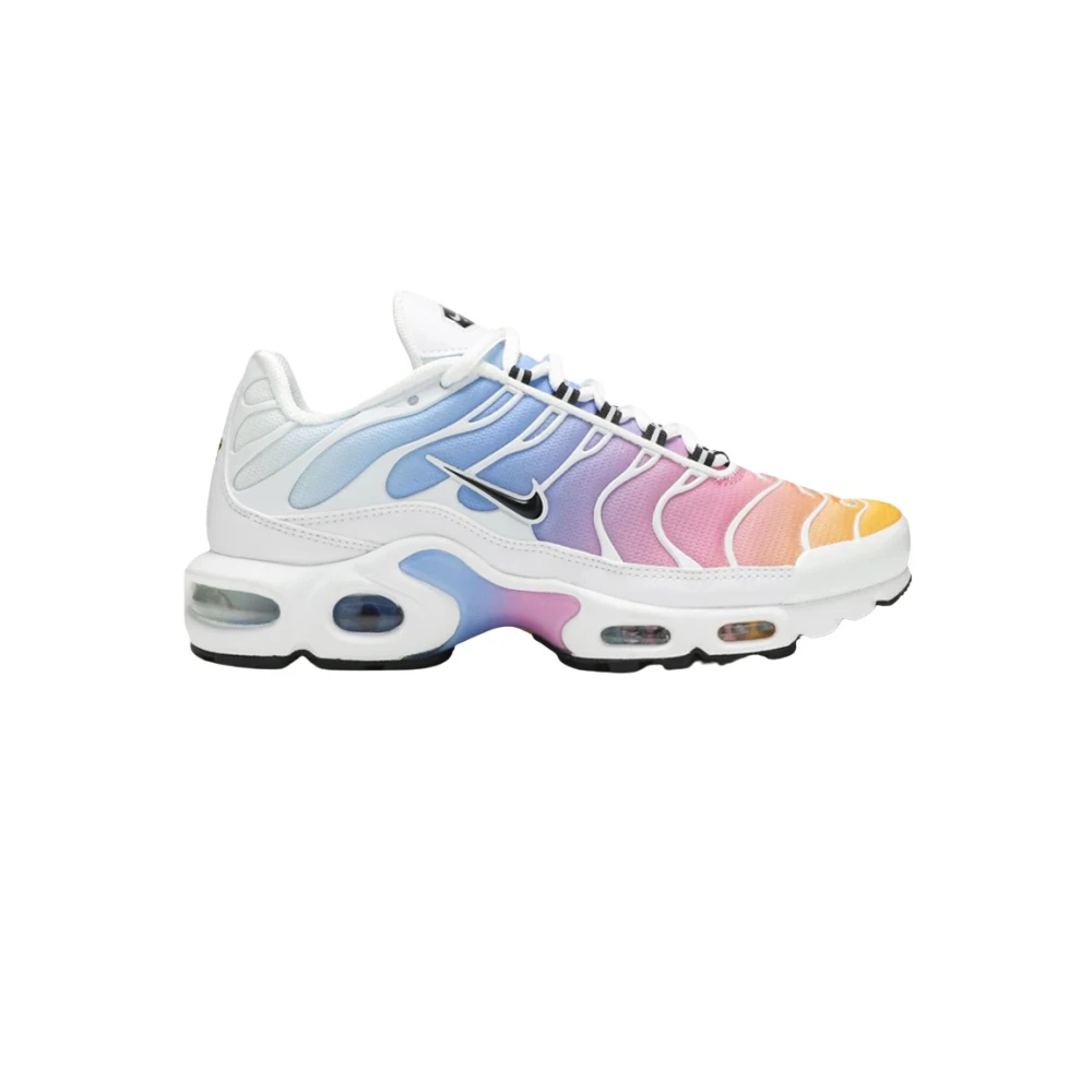 Nike Sommar Gradient Air Max Plus TN Multicolor, Herr